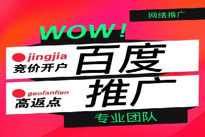 百度推广费用的投入与市场占有率提升的关联案例