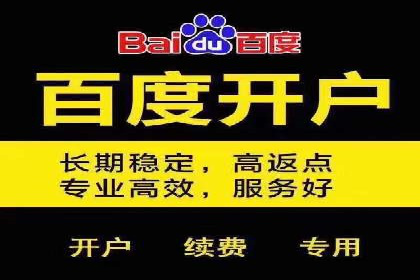 某科技公司通过百度推广引领行业创新发展